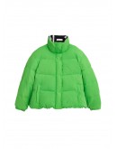 THE REVERSIBLE PUFFER APPLE