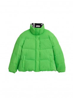 THE REVERSIBLE PUFFER APPLE
